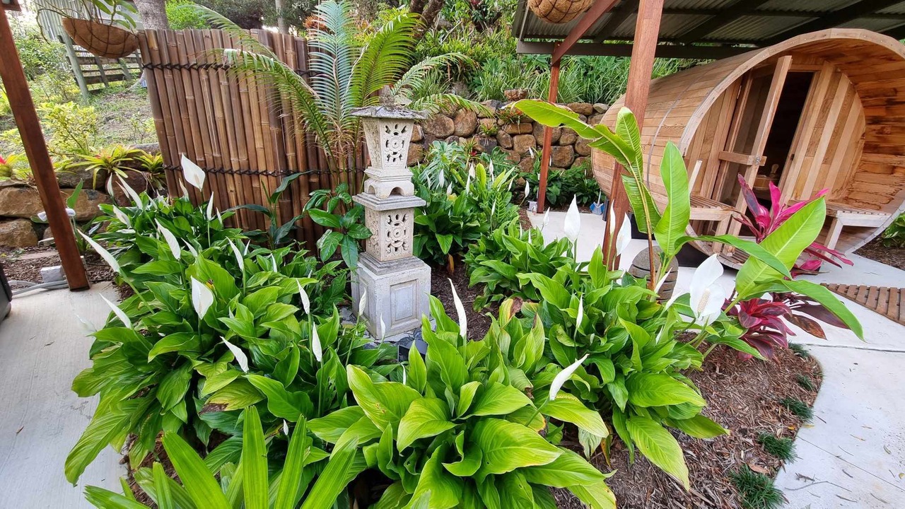 Photo of Outdoor in Tallebudgera Valley