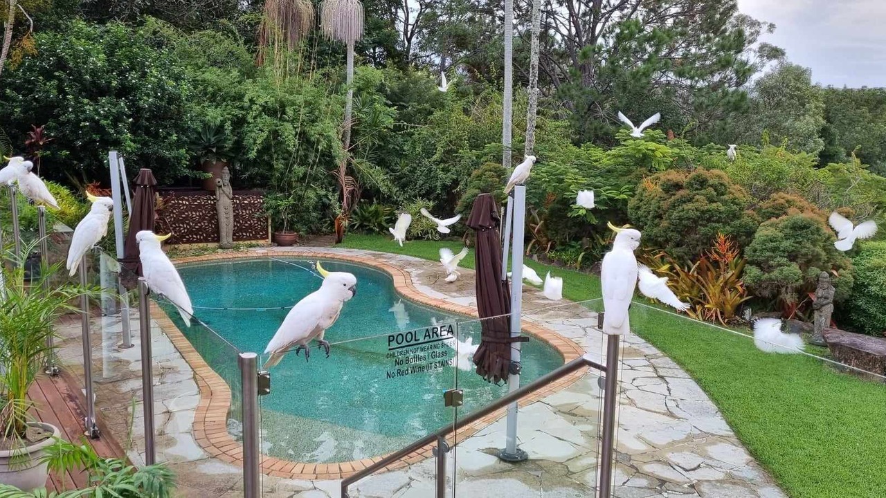Photo of Outdoor in Tallebudgera Valley