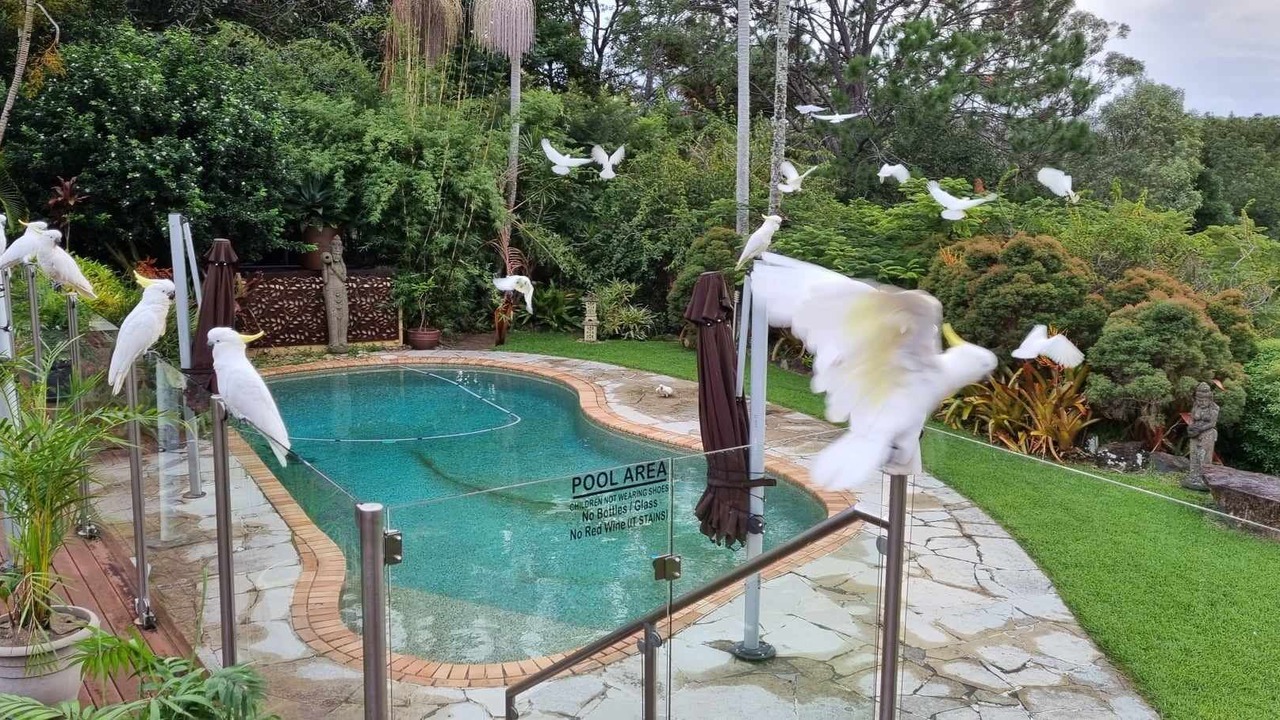 Photo of Outdoor in Tallebudgera Valley