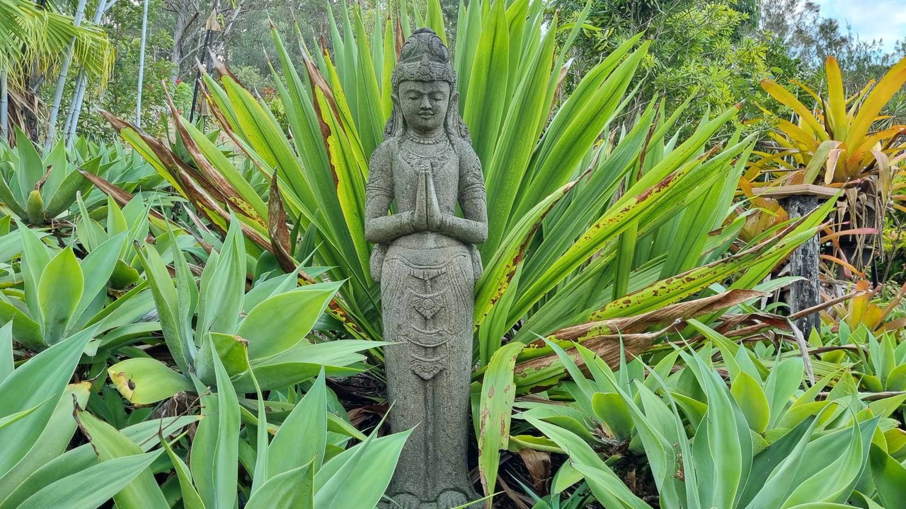 Photo of Outdoor in Tallebudgera Valley