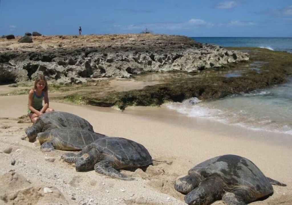 Photo of Others in Mokuleia