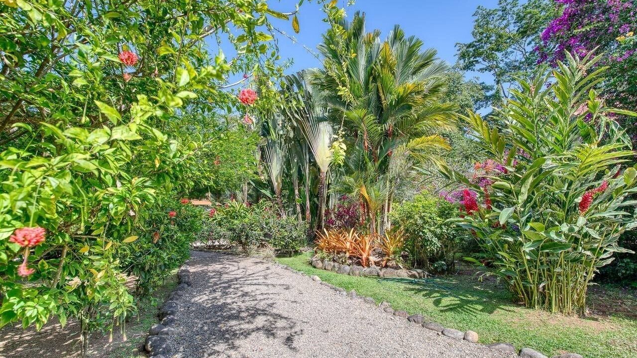 Photo of Outdoor in Puerto Viejo de Talamanca