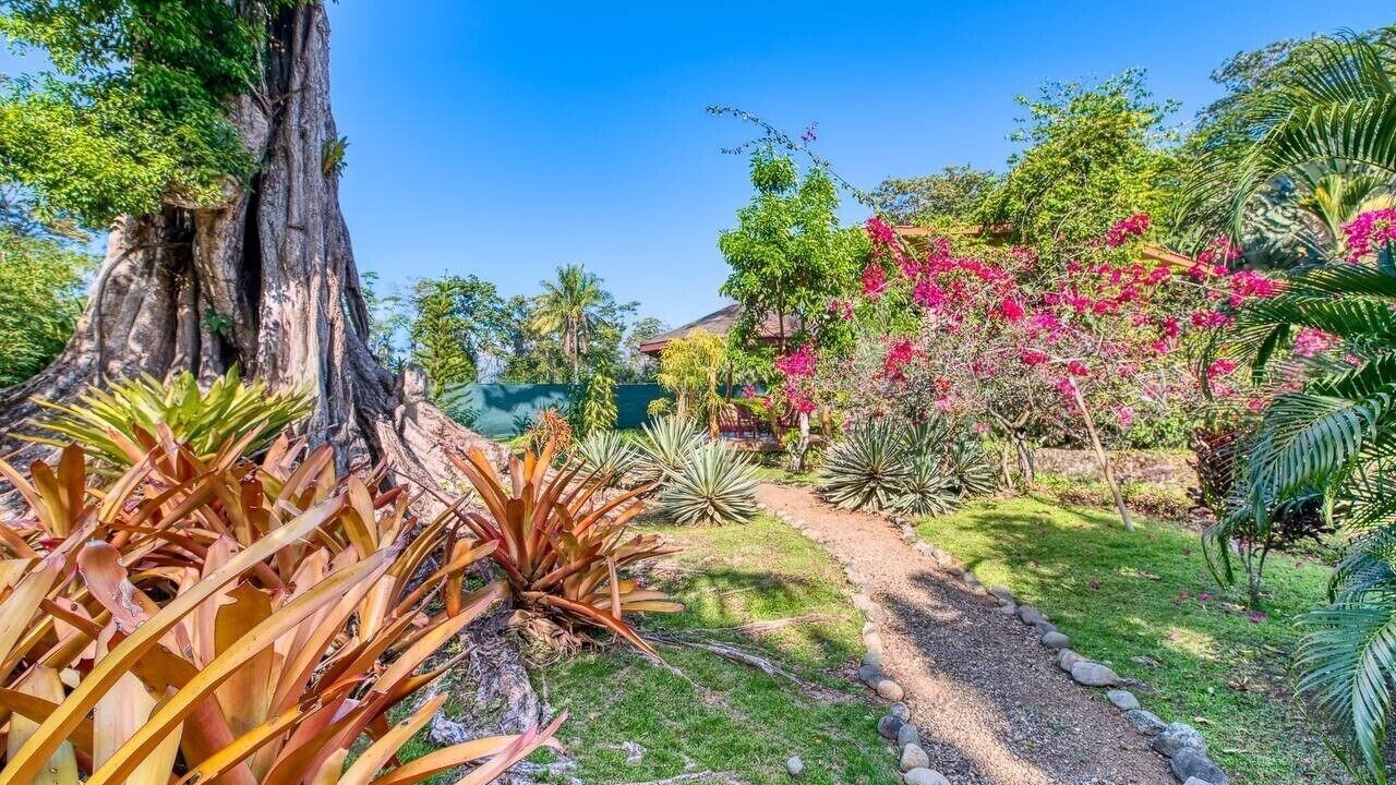 Photo of Outdoor in Puerto Viejo de Talamanca