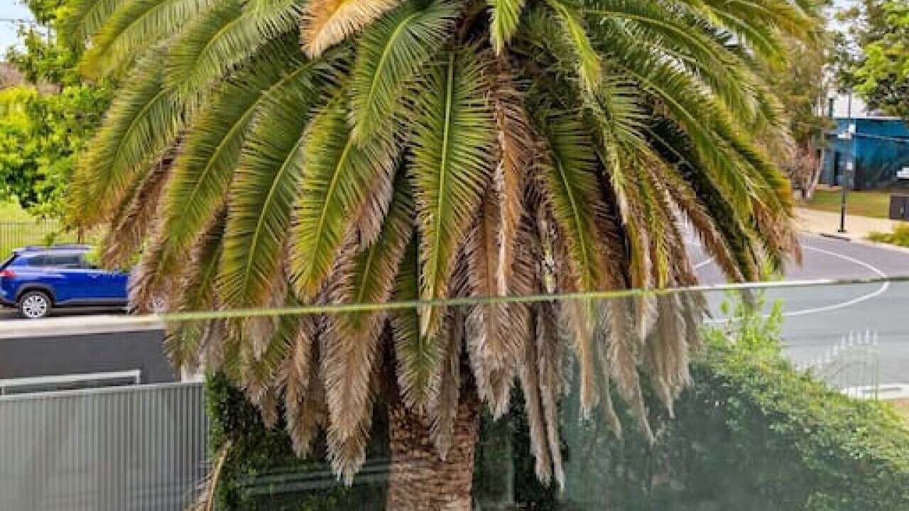 Photo of Outdoor in Surfers Paradise