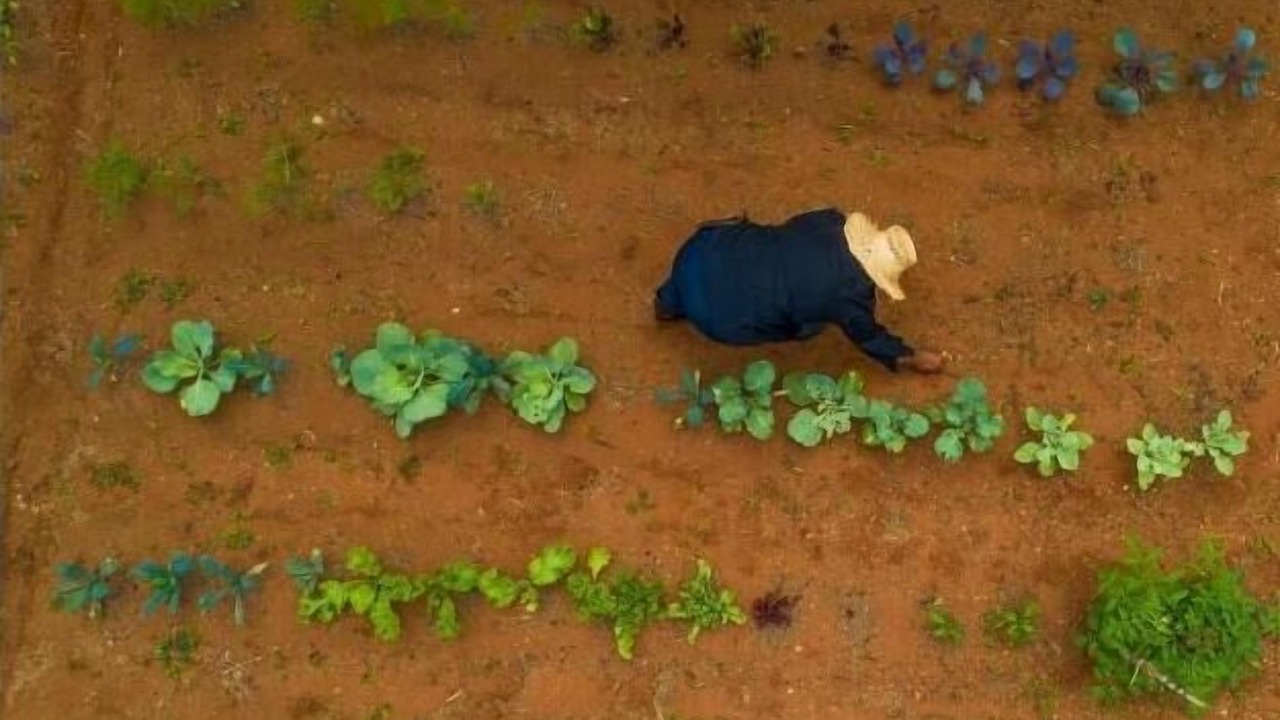 Photo of Others in Platanares