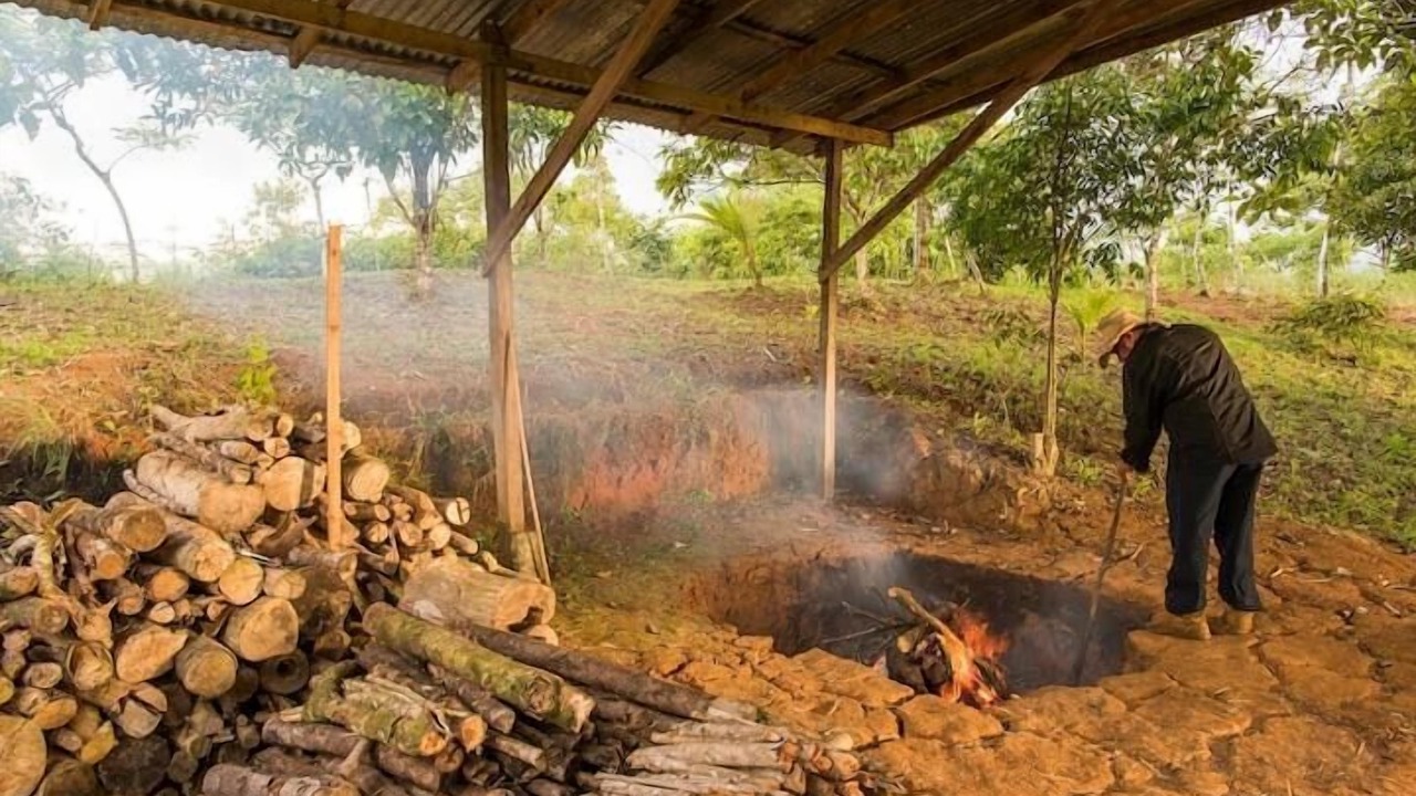Photo of Outdoor in Platanares