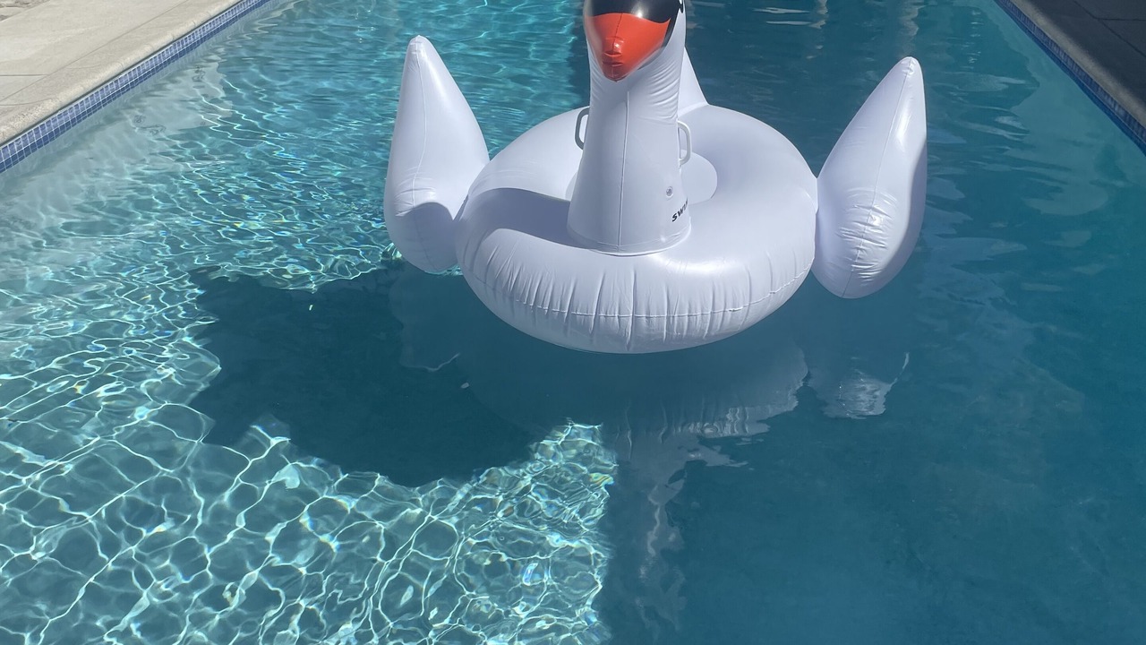 Photo of Others in Palm Springs