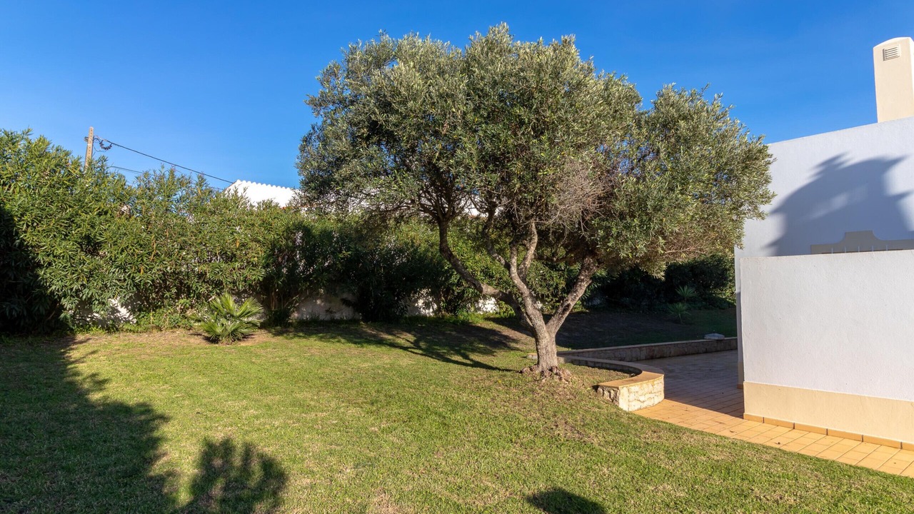 Photo of Outdoor in Mato Serrao