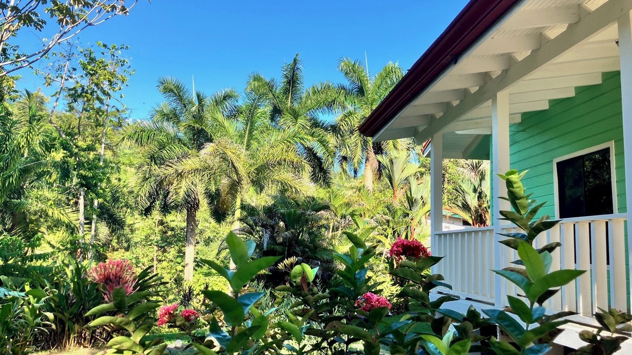 Photo of Outdoor in Ballena