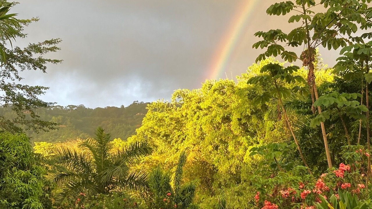 Photo of Outdoor in Ballena