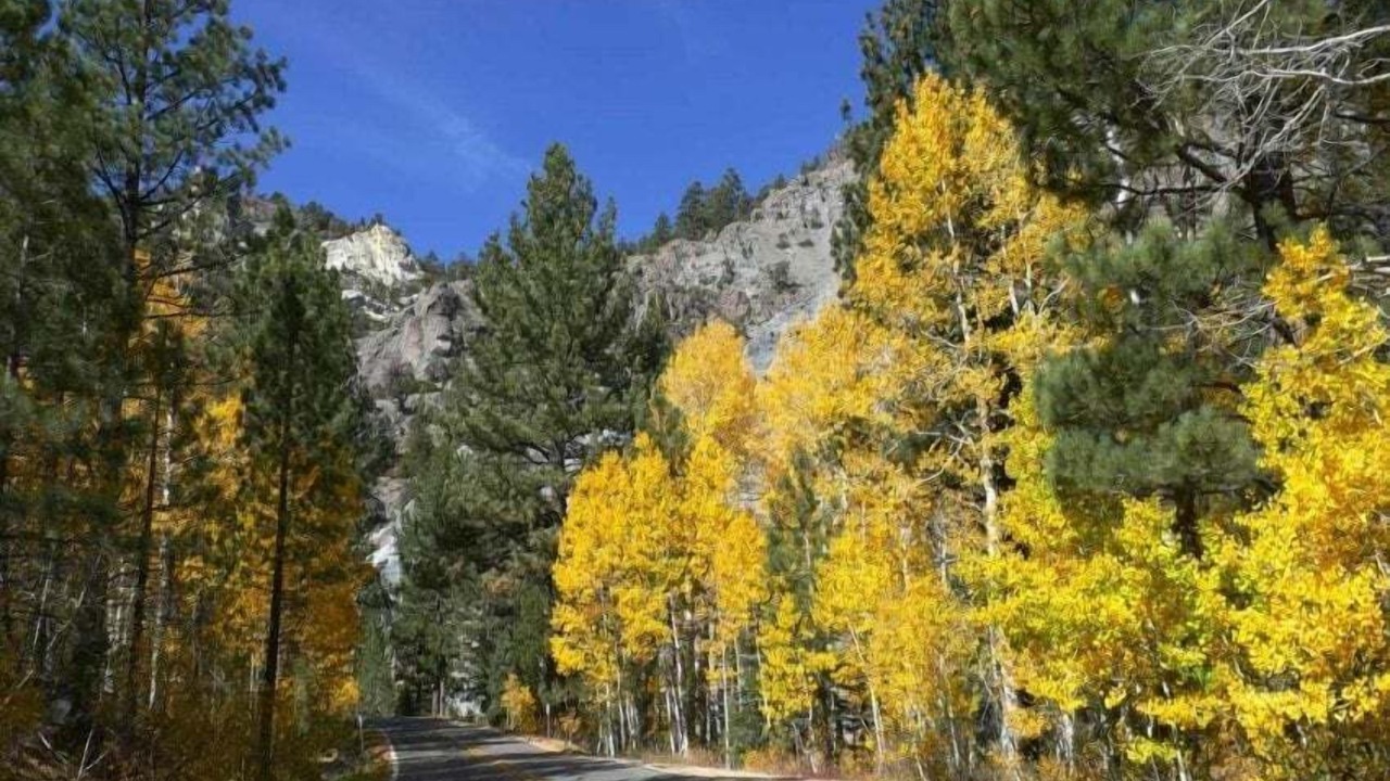 Photo of Others in Bear Valley