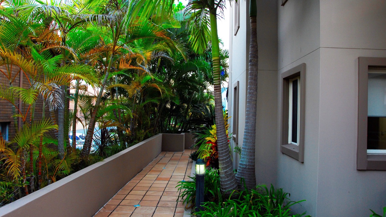 Photo of Outdoor in Mermaid Beach