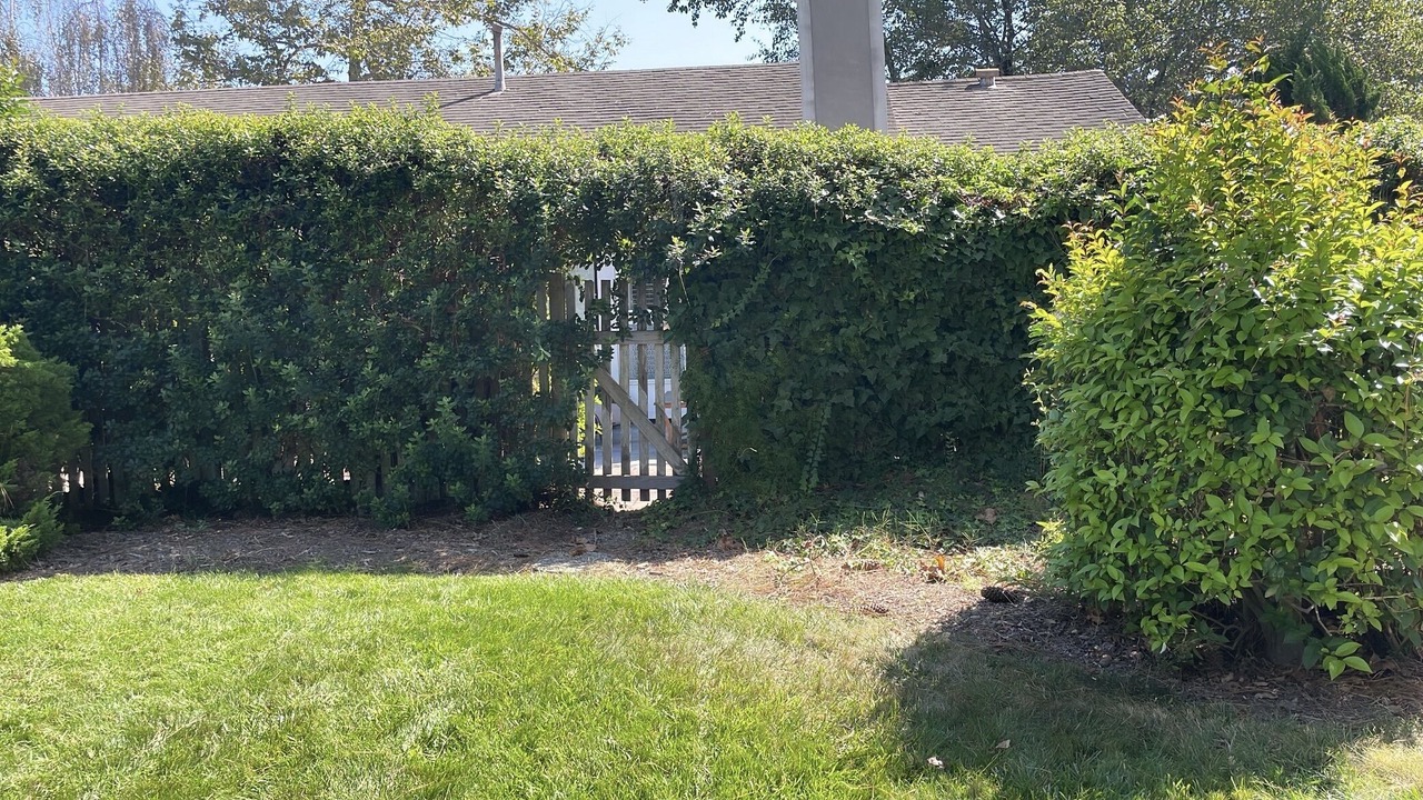 Photo of Outdoor in Carpinteria