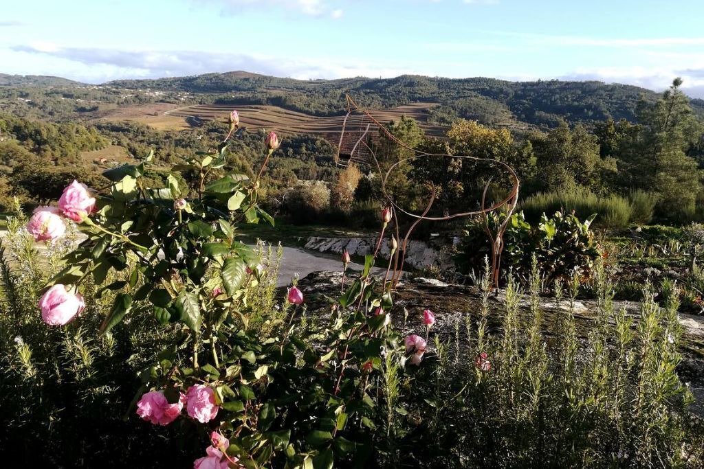 Photo of Outdoor in Insua