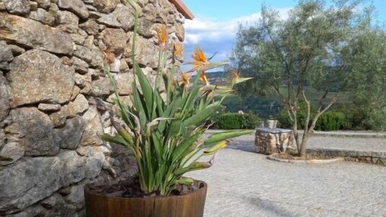 Photo of Outdoor in Insua