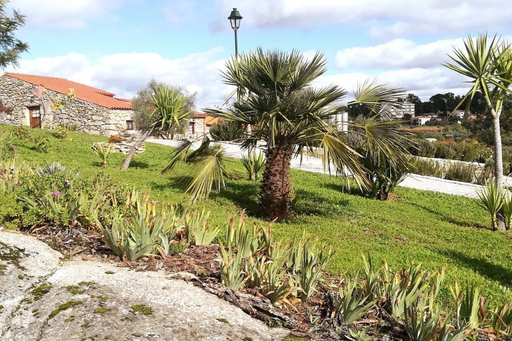 Photo of Outdoor in Insua