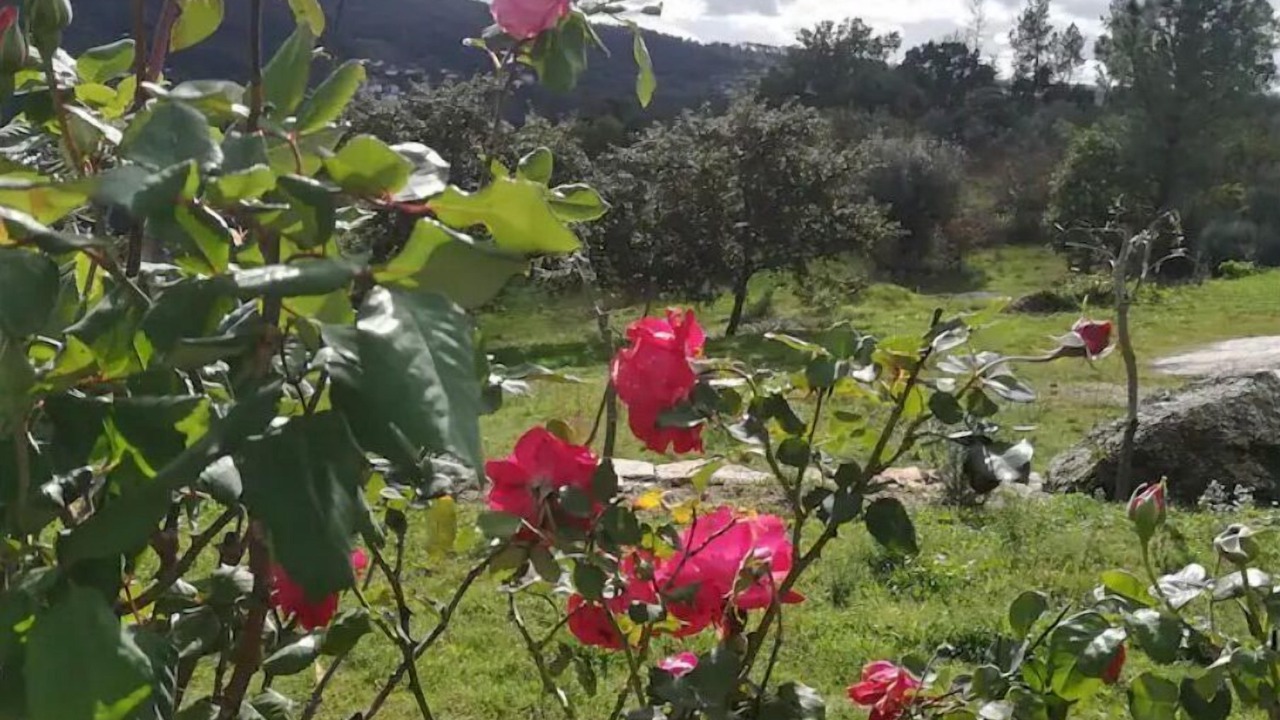 Photo of Outdoor in Insua