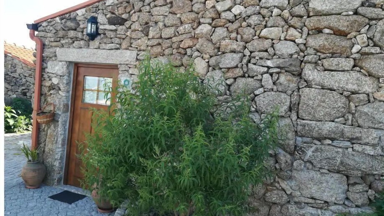 Photo of Outdoor in Insua