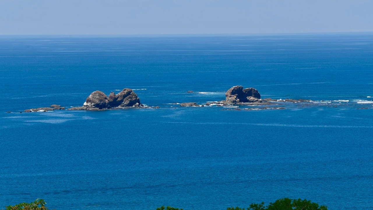 Photo of Others in Ballena