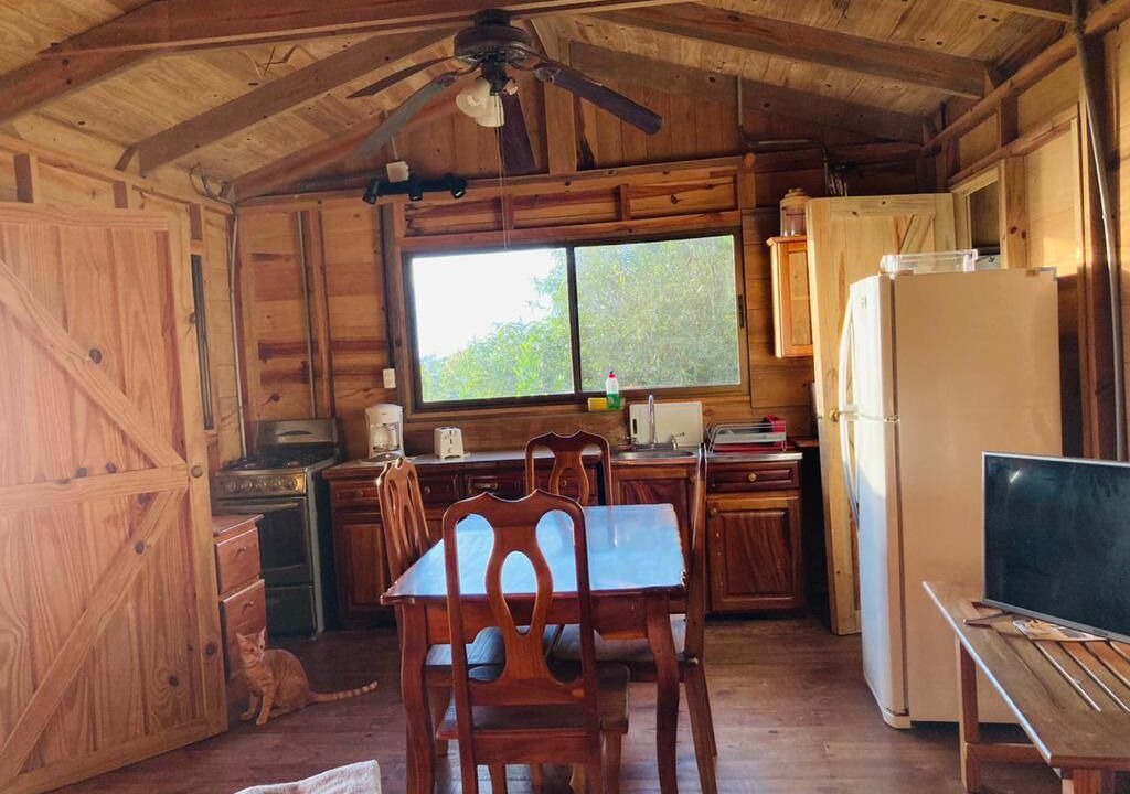Photo of Kitchen in Ballena