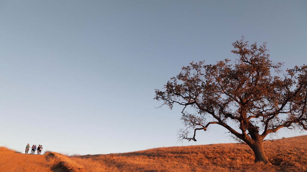 Photo of Others in Thousand Oaks