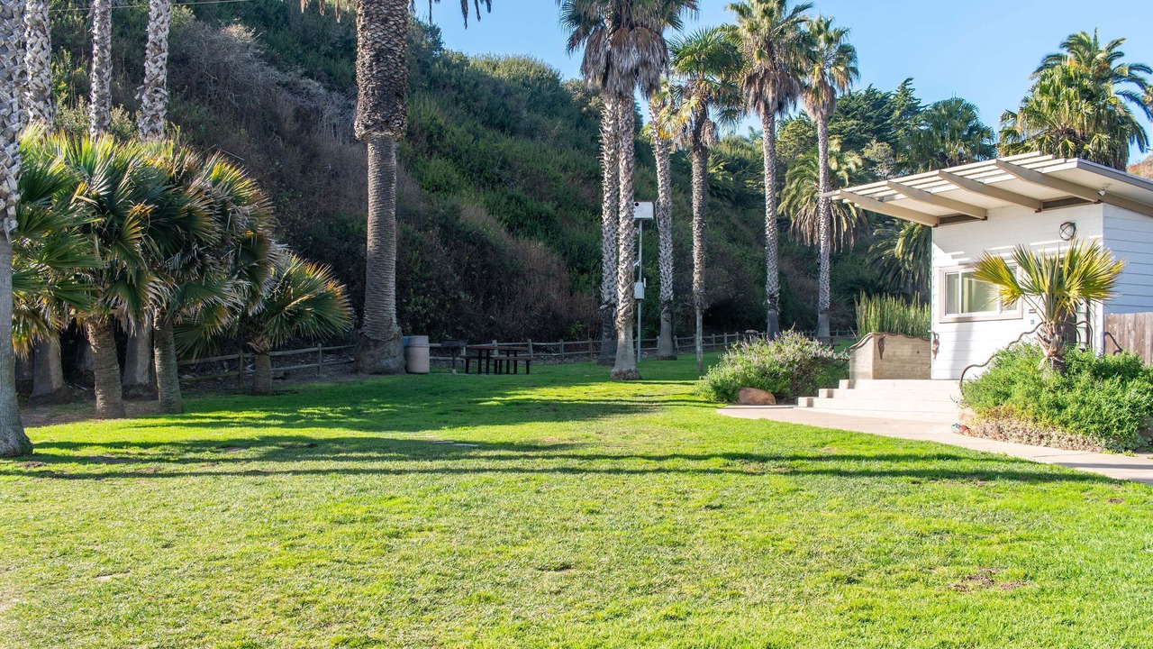 Photo of Outdoor in West Mesa