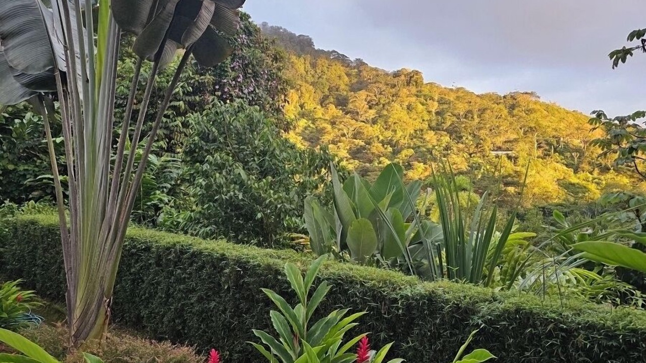 Photo of Outdoor in Ciudad Cortes