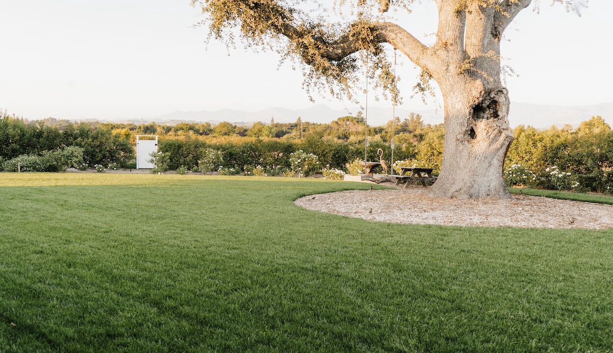 Photo of Outdoor in Santa Ynez