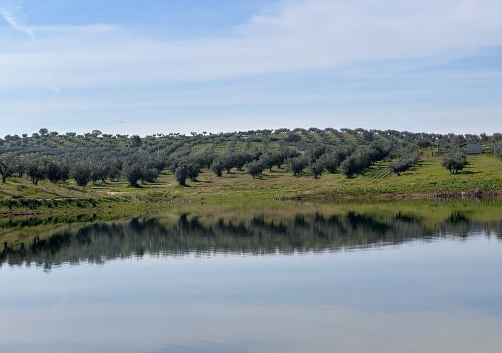 Photo of Others in Reguengos de Monsaraz