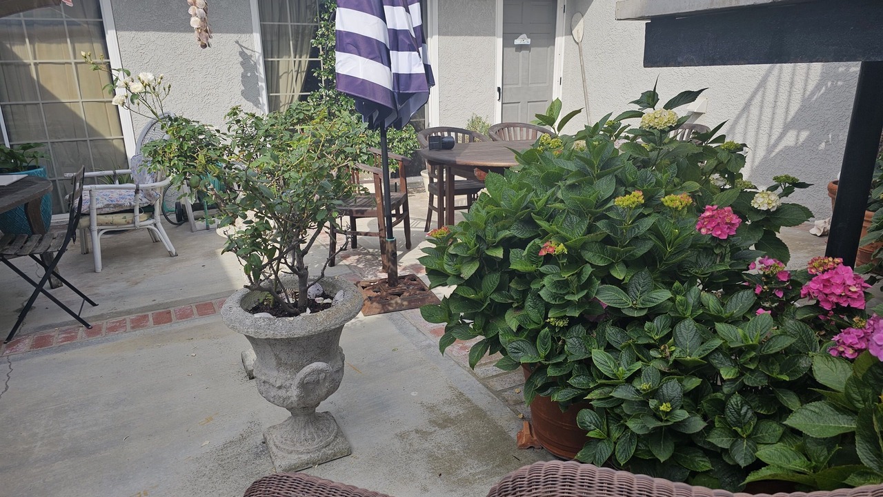 Photo of Outdoor in West Newport
