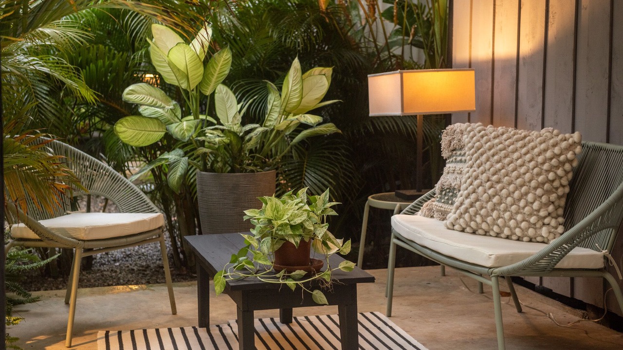 Photo of Patio Balcony in Manzanillo