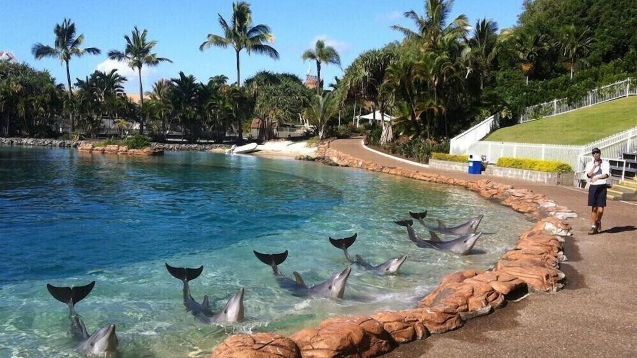 Photo of Outdoor in Surfers Paradise