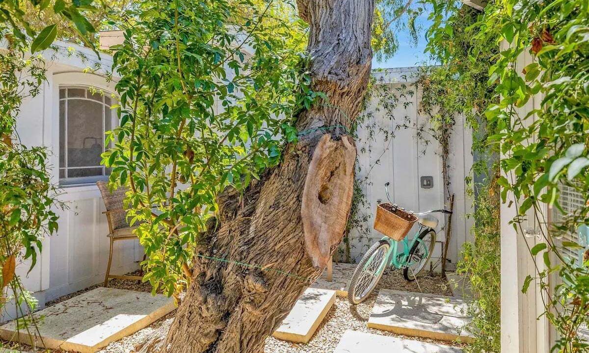 Photo of Outdoor in Summerland