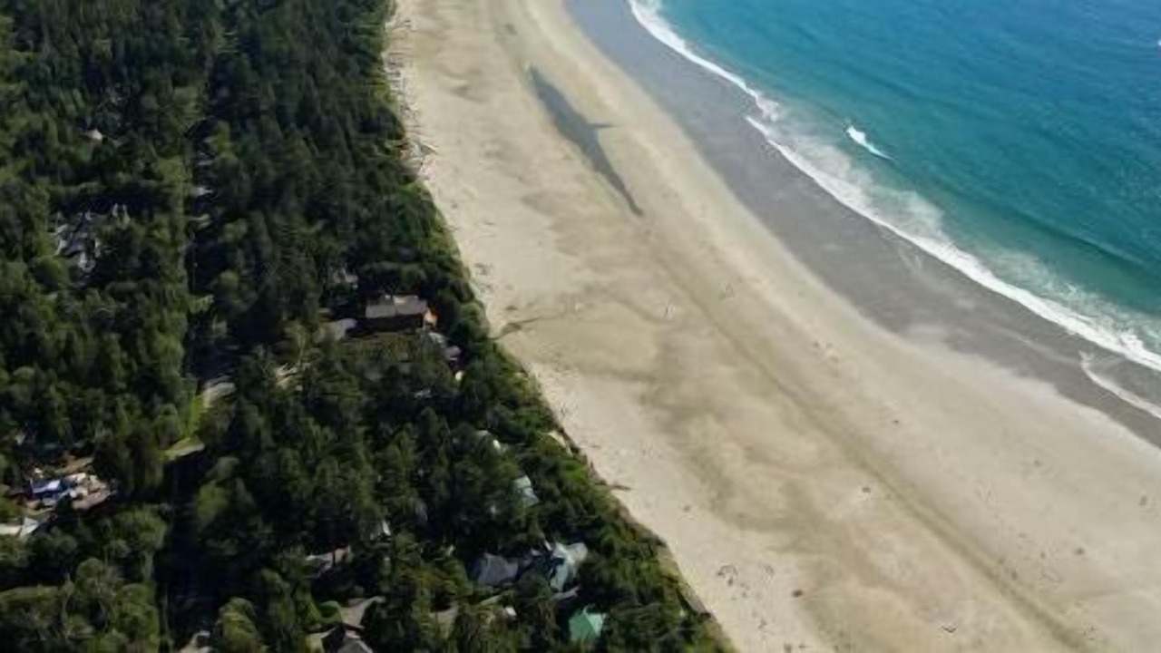 Photo of Others in Tofino