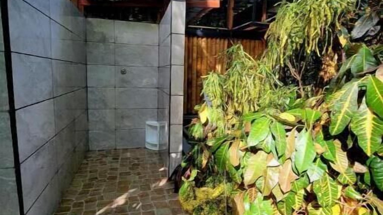 Photo of Outdoor in Cocles