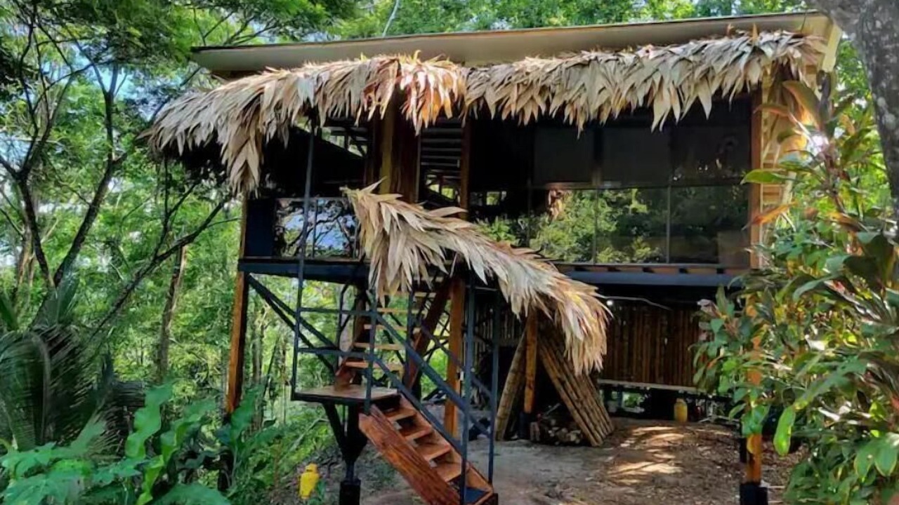 Photo of Outdoor in Cocles