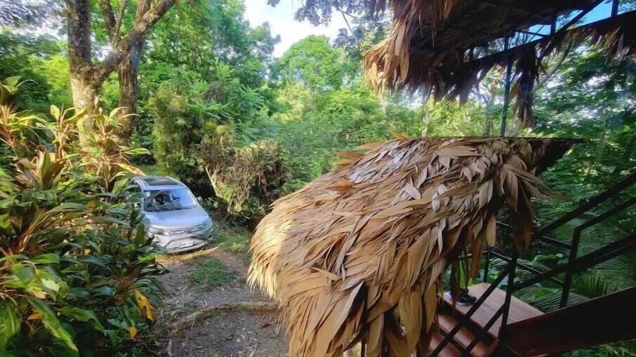 Photo of Outdoor in Cocles