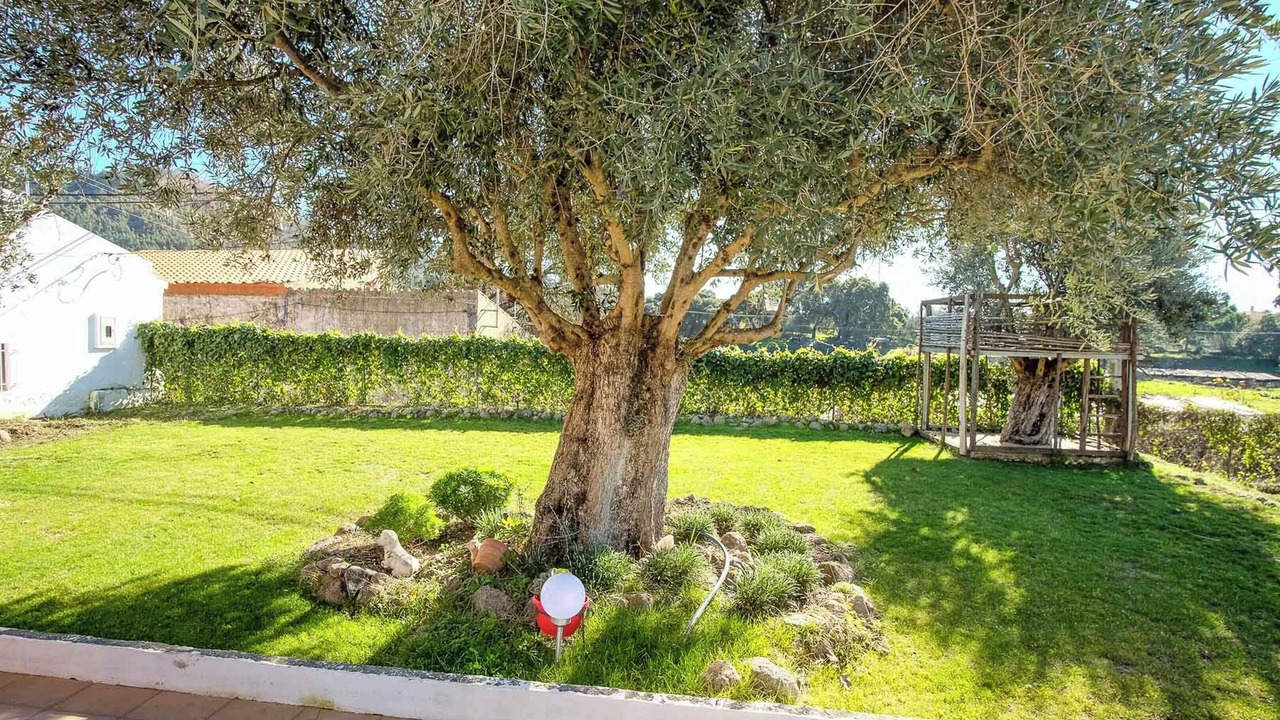 Photo of Outdoor in Monchique