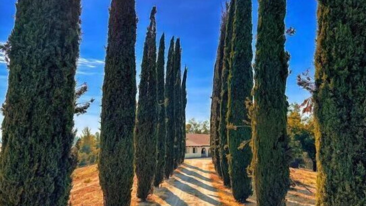 Photo of Outdoor in San Miguel