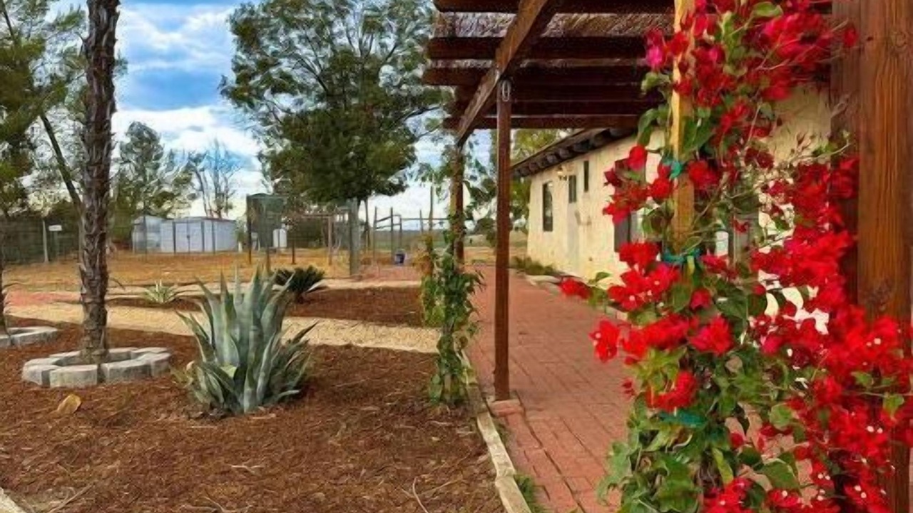 Photo of Outdoor in San Miguel