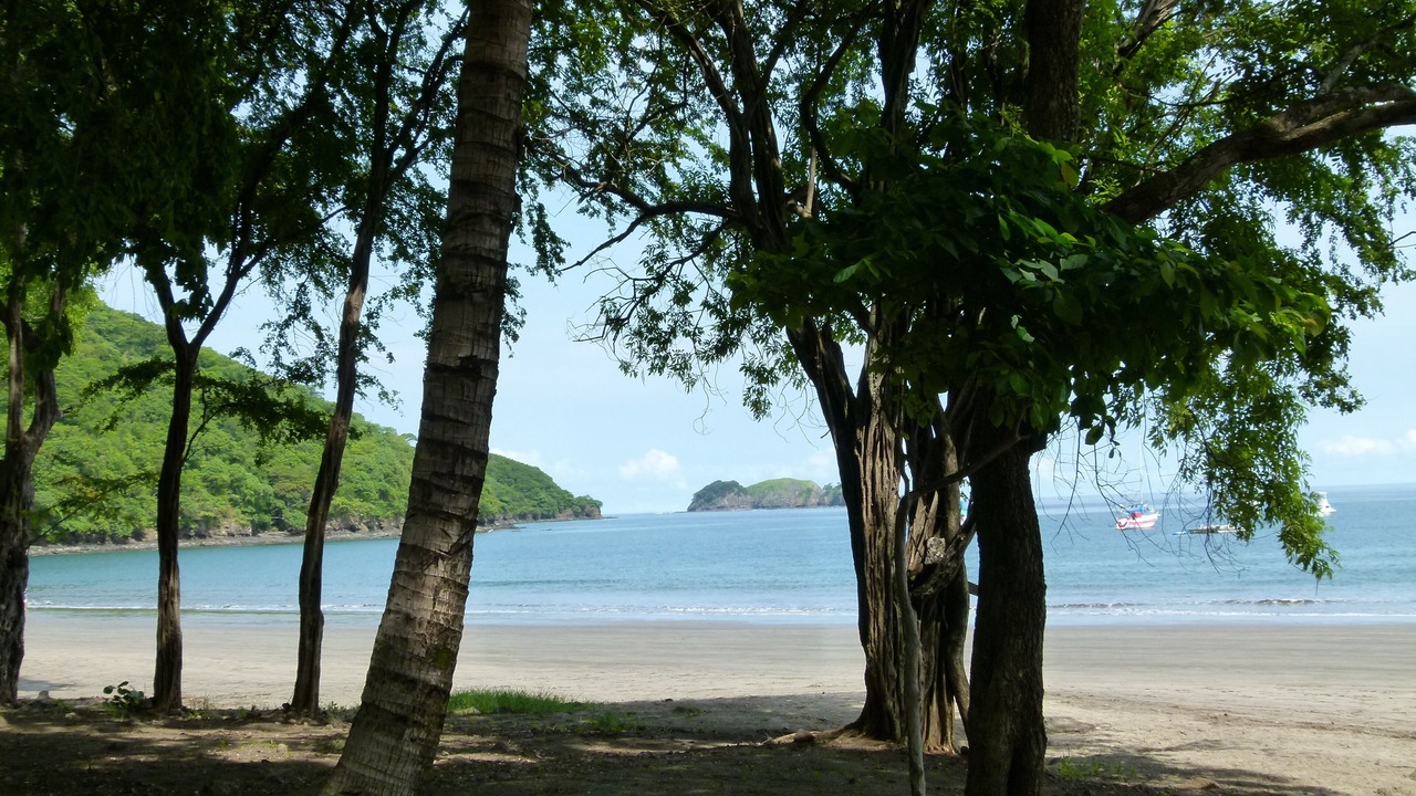 Photo of Others in Playa Hermosa