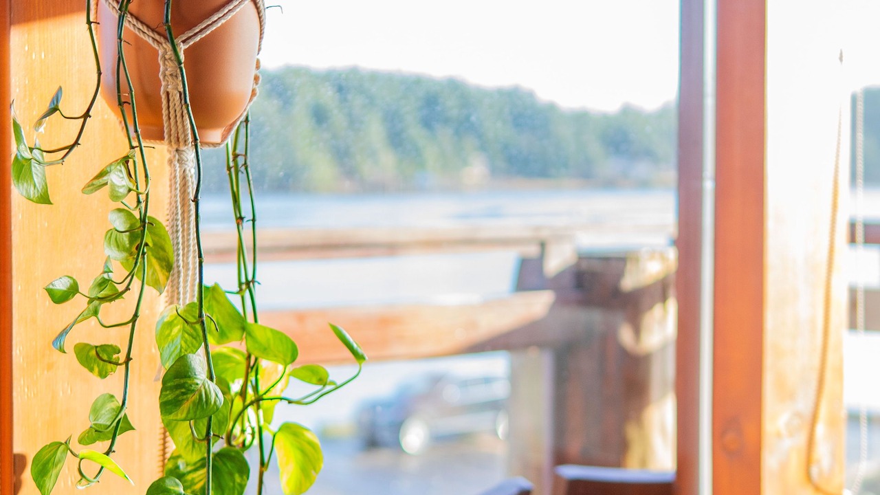 Photo of Others in Ucluelet