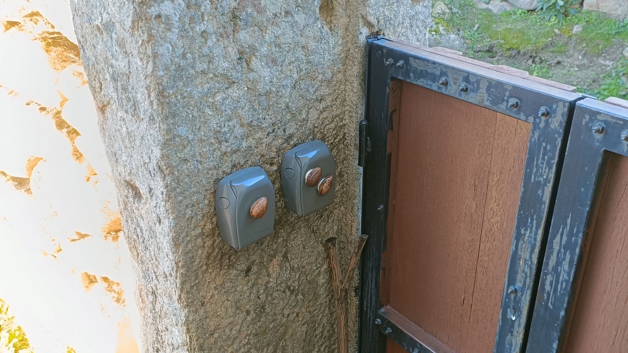 Photo of Outdoor in Meda