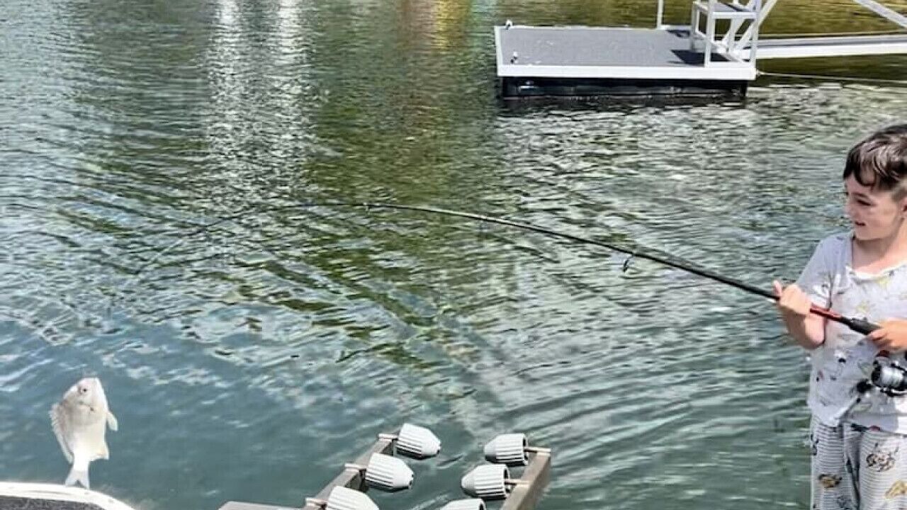 Photo of Others in Broadbeach Waters