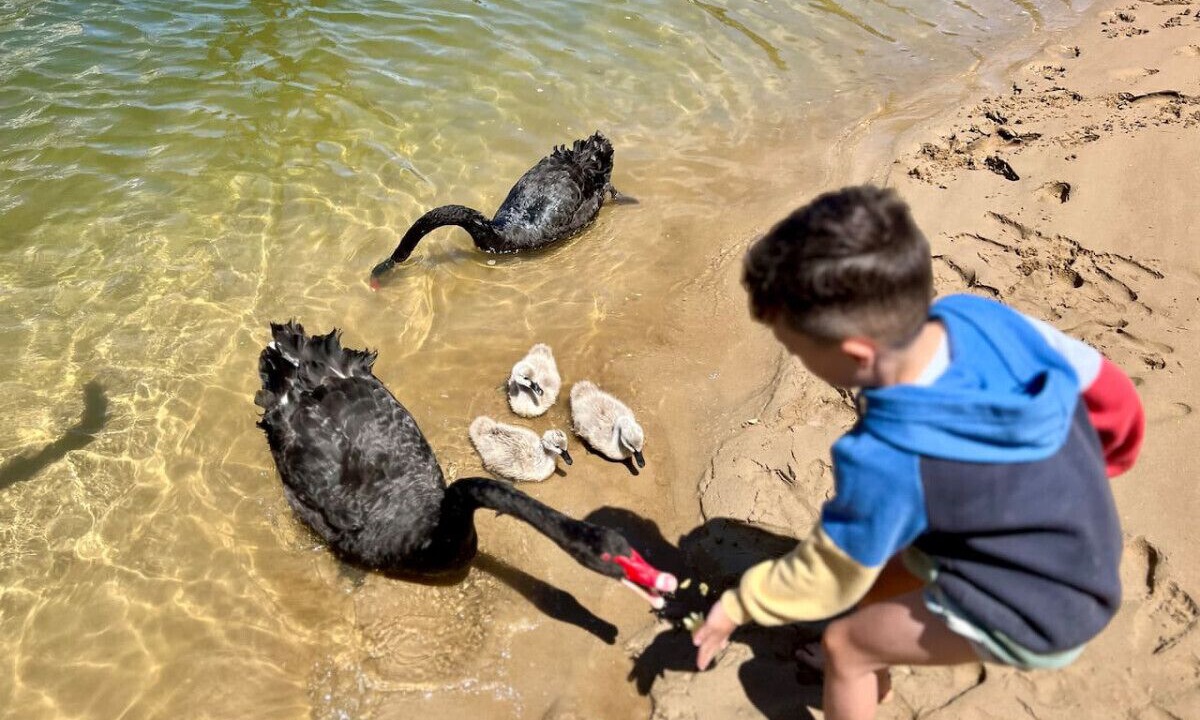 Photo of Others in Broadbeach Waters