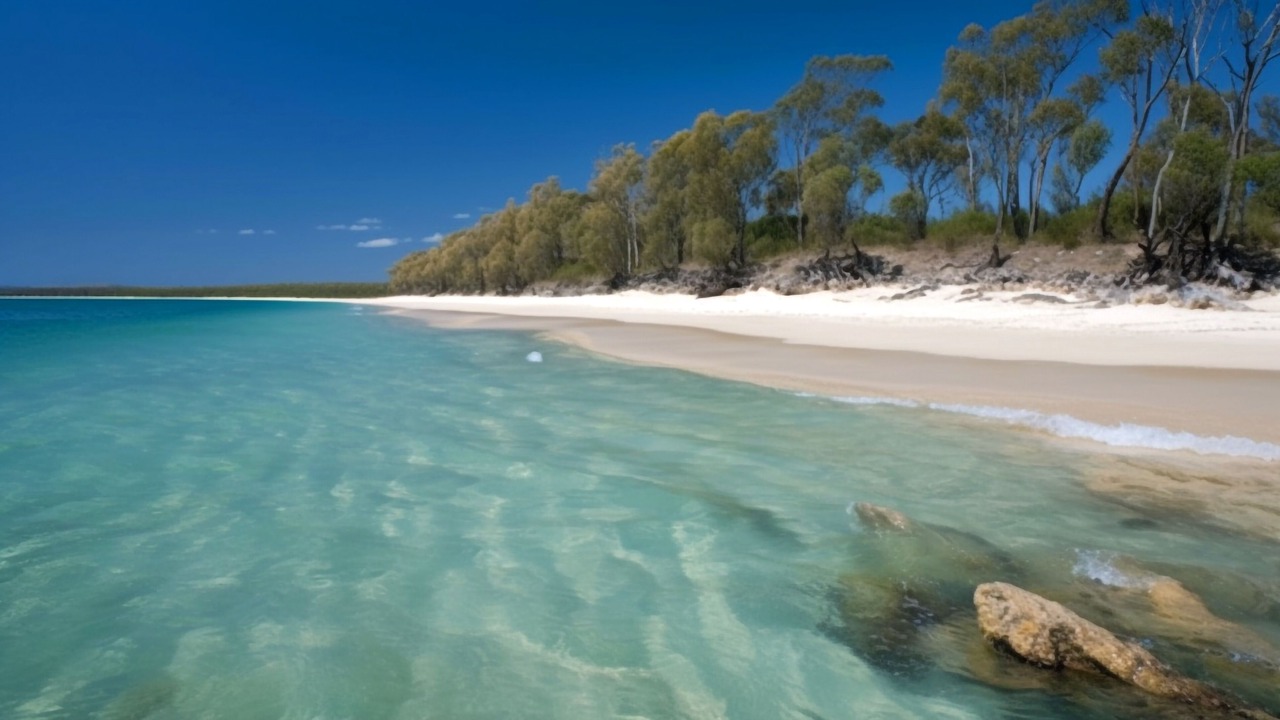 Photo of Others in Gold Coast