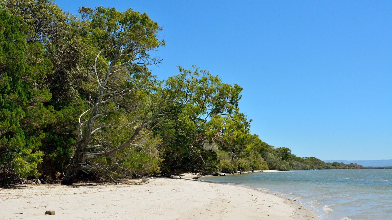 Photo of Others in Gold Coast