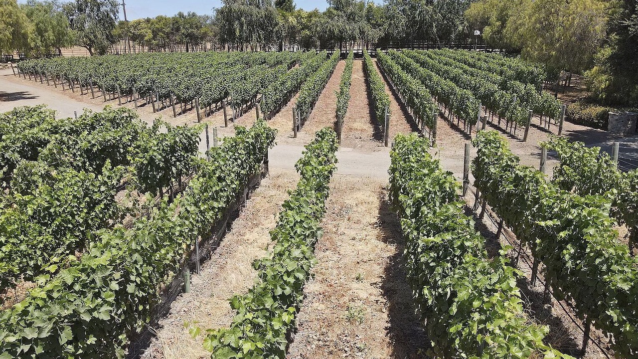 Photo of Outdoor in Santa Ynez
