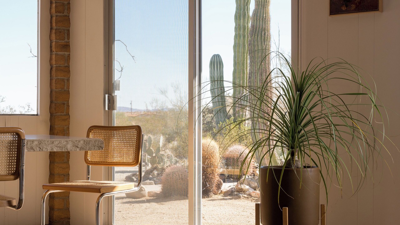 Photo of Others in Borrego Springs