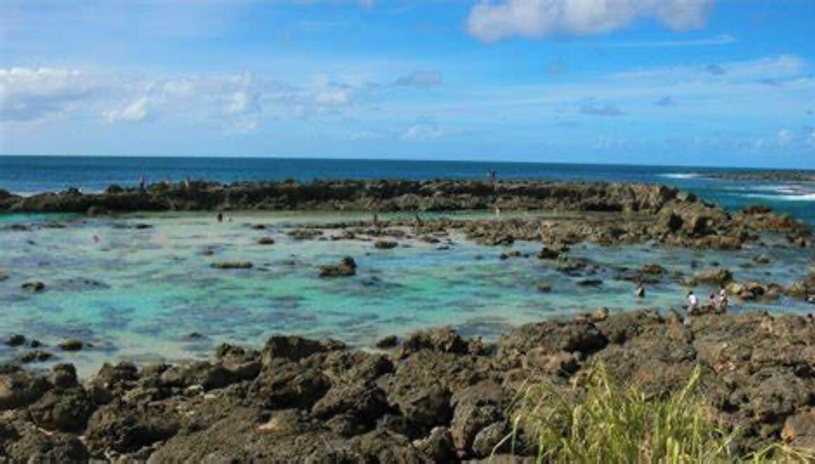 Photo of Others in Waialua